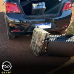 FICCO/PR apreende mais de 60 kg de maconha e prende casal em Cascavel