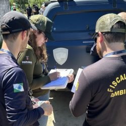 IAT cria novo canal para denúncias de crimes ambientais no Paraná