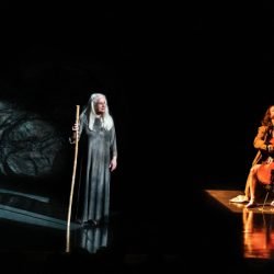 Monólogo baseado no livro "Sapiens" e estrelado por Vera Holtz retorna a Curitiba