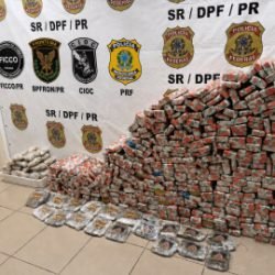 Forças de segurança apreendem 319 kg de maconha e prendem suspeito após perseguição na BR-376