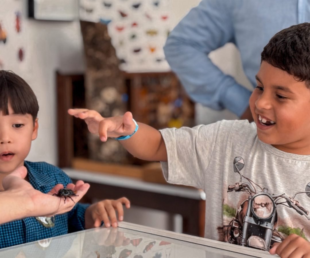 UEL leva projetos e soluções tecnológicas para a ExpoLondrina 2026