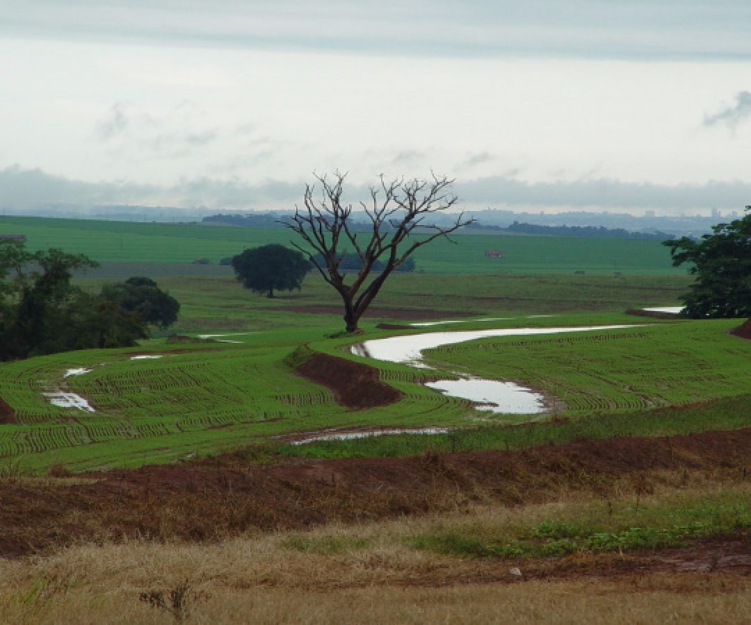 Estado apoia reivindicações para amortizar dívidas de produtores após temporais