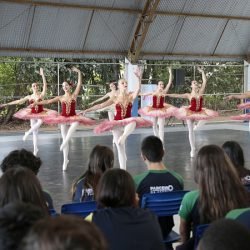 Escola do Teatro Guaíra abre seleção para professores de dança clássica e contemporânea