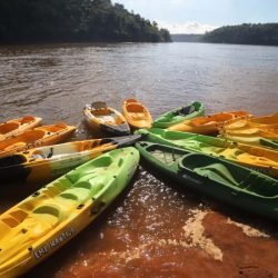 Viaje Paraná é integrado à UN Tourism para fortalecer o turismo sustentável