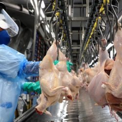 Perto do bilhão: vendas de empresas do Paraná para outros estados crescem 211% em sete anos