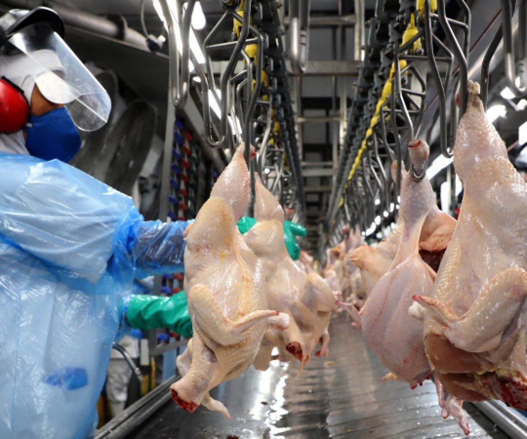 Perto do bilhão: vendas de empresas do Paraná para outros estados crescem 211% em sete anos