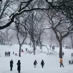 frio-no-central-park.jpg