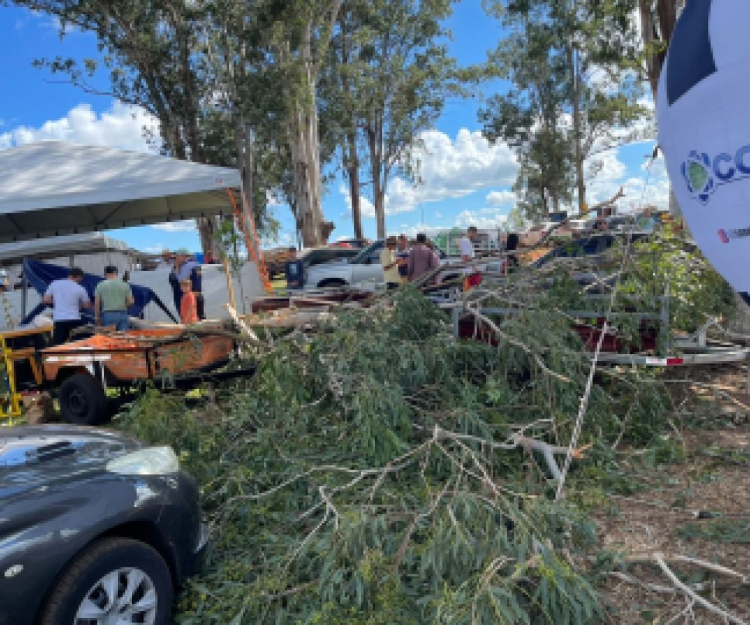 Galho de árvore cai sobre barraca e deixa ferido durante festa em Espigão Alto do Iguaçu