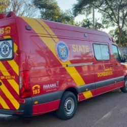 Galho quebra e homem sofre queda em Cascavel