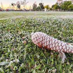 Sinais de inverno: maio terá frentes frias e geada no Paraná, prevê Simepar