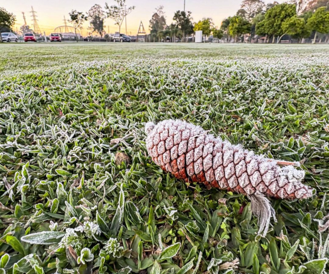 Sinais de inverno: maio terá frentes frias e geada no Paraná, prevê Simepar