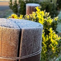 Quarta-feira amanhece com geada e temperatura negativa no Paraná