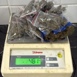 GM apreende maconha e cocaína escondida na praça do Floresta