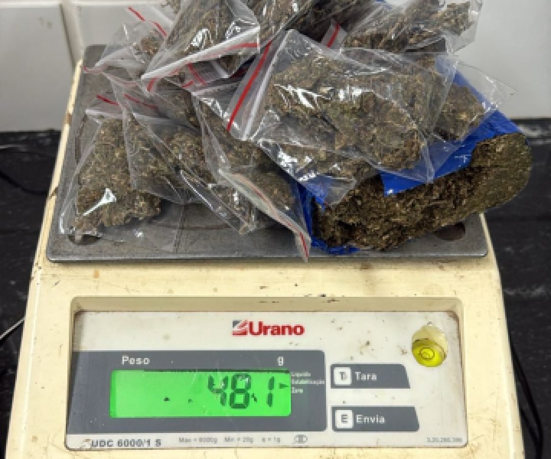 GM apreende maconha e cocaína escondida na praça do Floresta