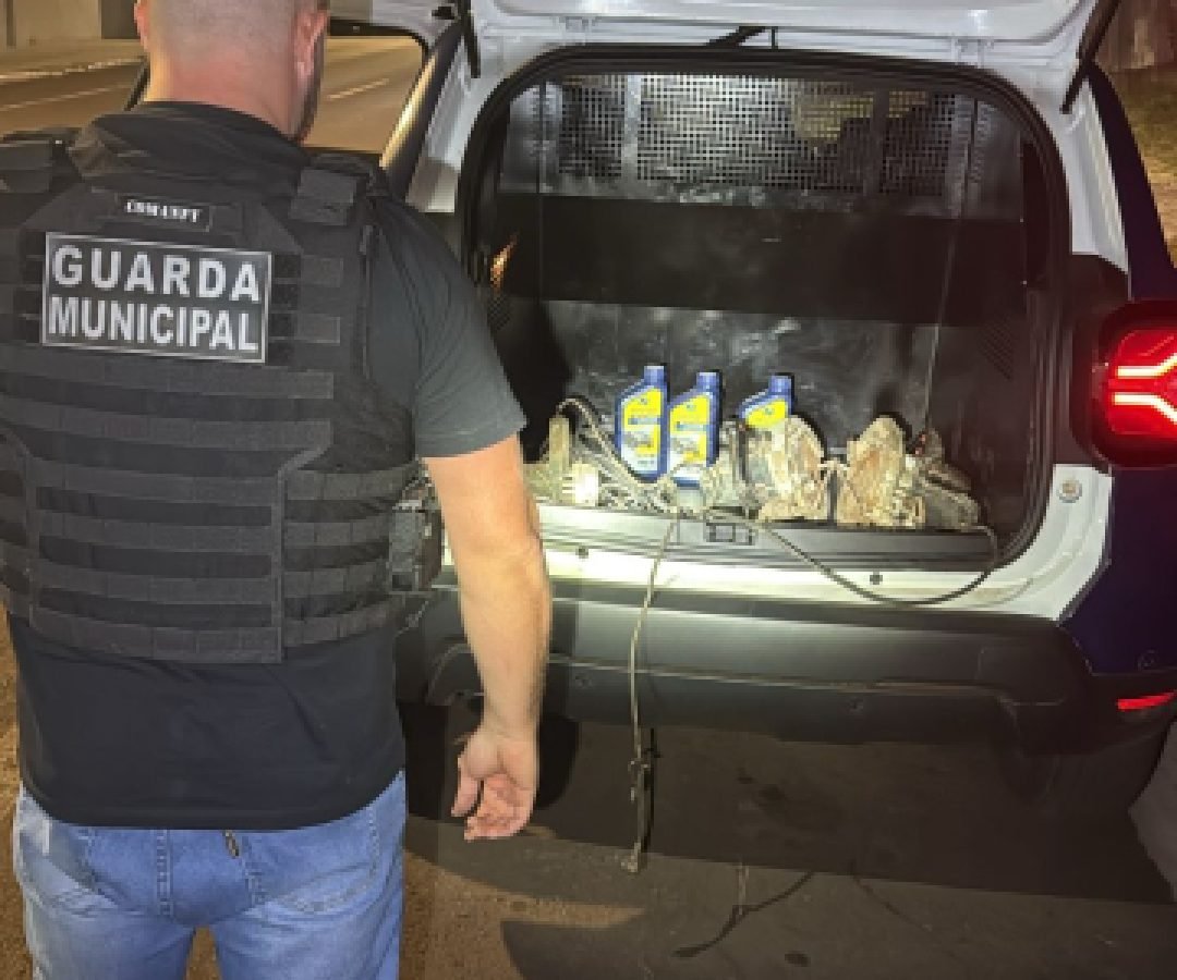 GM recupera pertences furtados em Cascavel