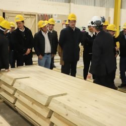 Paraná propõe compra de créditos tributários e redução de ICMS para auxiliar setor madeireiro