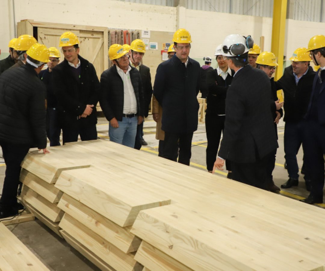 Paraná propõe compra de créditos tributários e redução de ICMS para auxiliar setor madeireiro