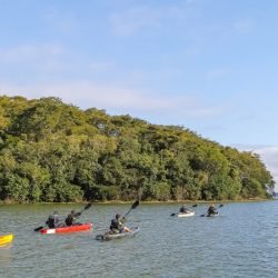 Paraná amplia formalização no setor turístico e chega a 13,6 mil cadastros no Cadastur