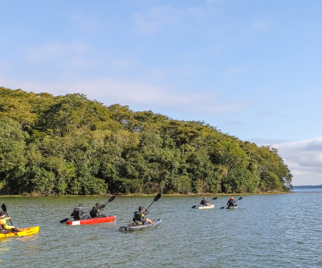 Paraná amplia formalização no setor turístico e chega a 13,6 mil cadastros no Cadastur