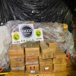 Homem é preso com mais de 720 quilos de maconha escondidos em caminhão na BR-277 em Foz do Iguaçu