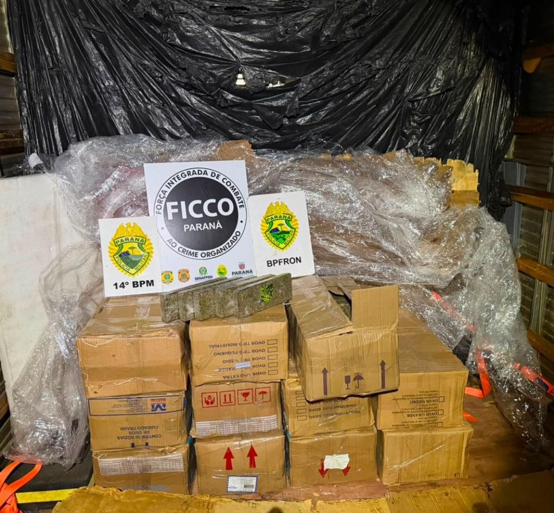 Homem é preso com mais de 720 quilos de maconha escondidos em caminhão na BR-277 em Foz do Iguaçu