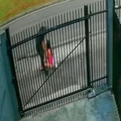 Homem é preso em flagrante pela PM após tentativa de abuso sexual