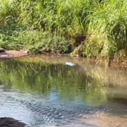 Homem encontrado morto no Ecopark seria morador do bairro Quebec