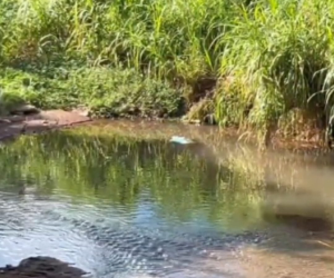 Homem encontrado morto no Ecopark seria morador do bairro Quebec