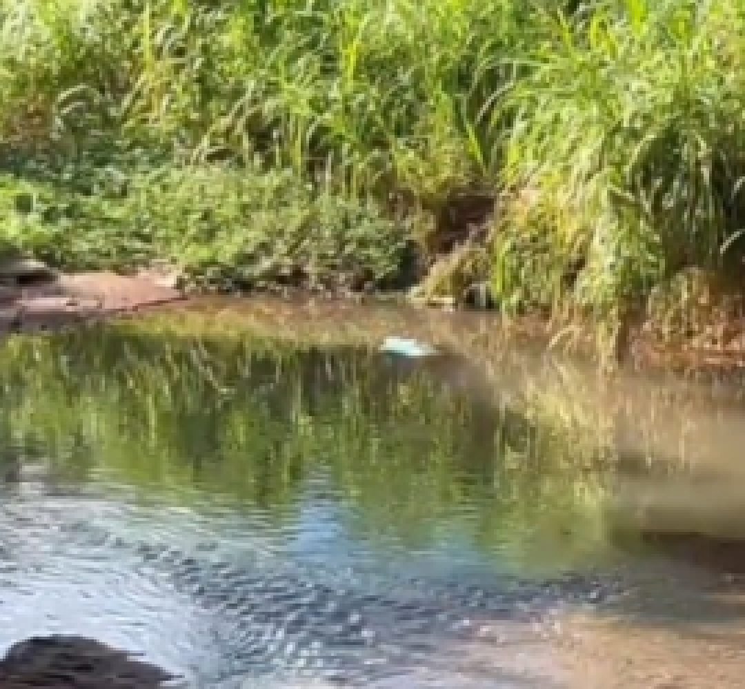 Homem encontrado morto no Ecopark seria morador do bairro Quebec