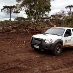 Com descontos e parcelamentos, Estado regulamenta Refis Ambiental