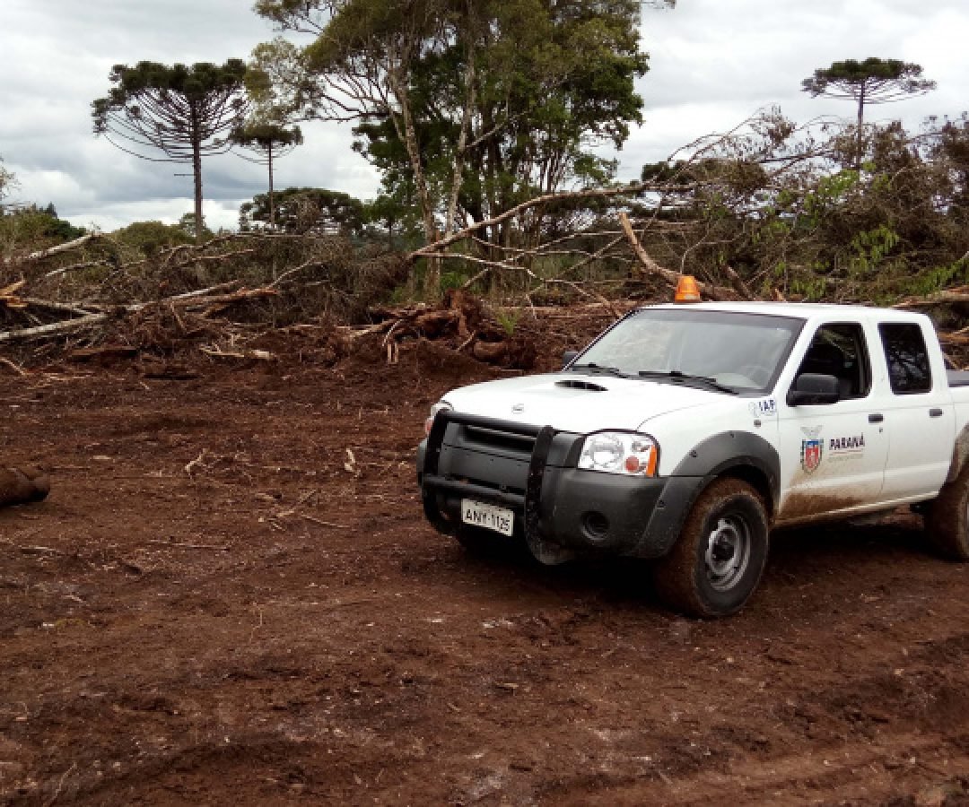 Com descontos e parcelamentos, Estado regulamenta Refis Ambiental