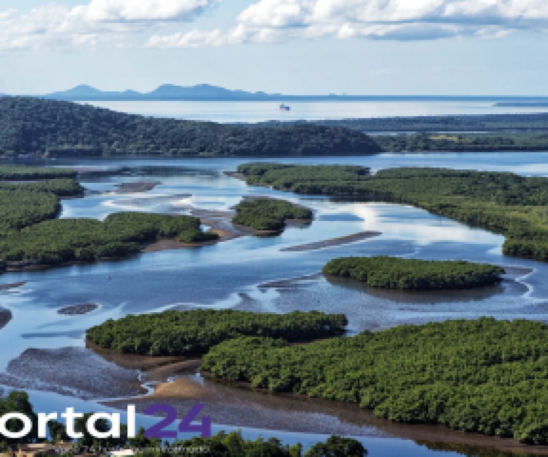 IAT apresenta inovação ambiental e estratégias climáticas no FITCataratas 2026