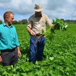 IDR-Paraná divulga resultado final do PSS com 173 novos profissionais para reforçar a extensão rural e pesquisa no Estado