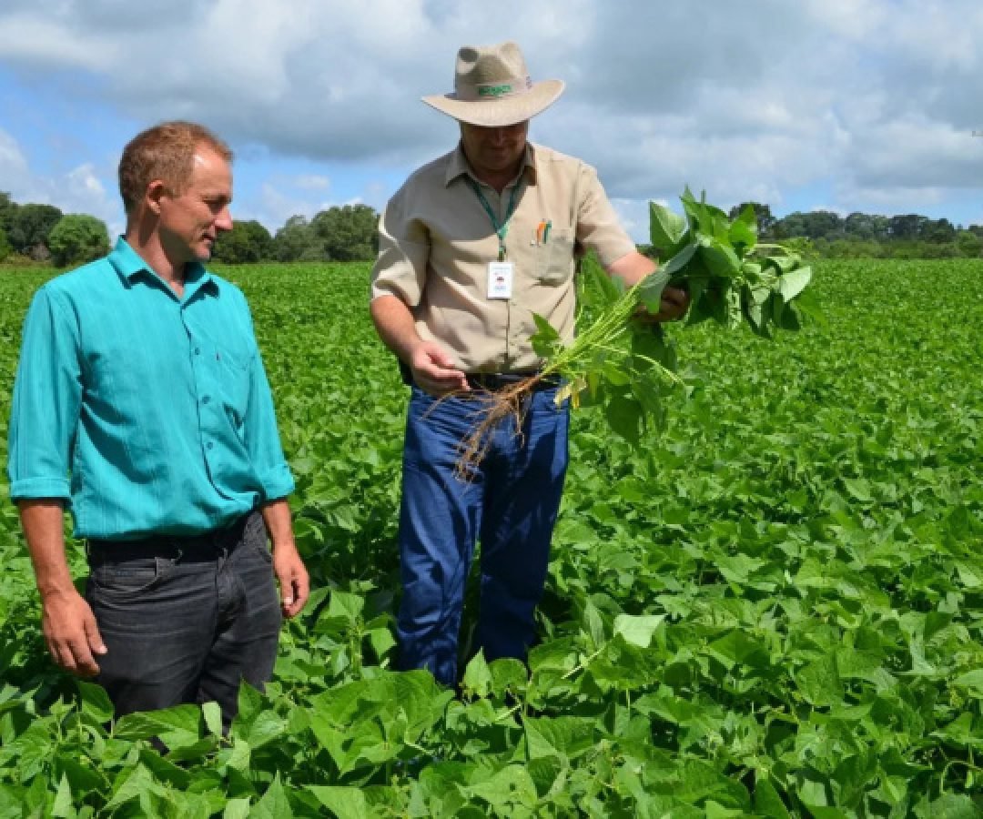 IDR-Paraná divulga resultado final do PSS com 173 novos profissionais para reforçar a extensão rural e pesquisa no Estado