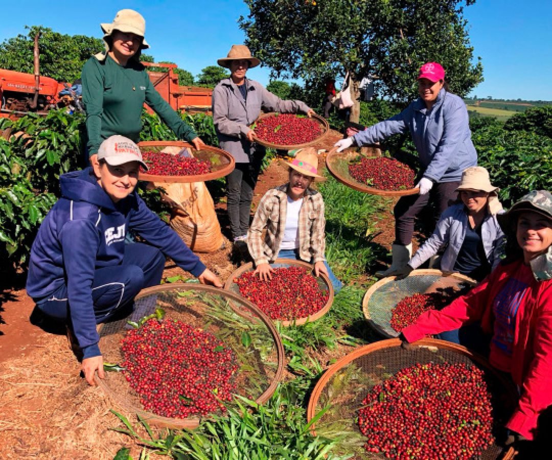 Feira da Agroindústria Familiar reúne produtores e valoriza protagonismo das mulheres rurais