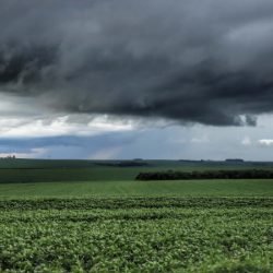 Agricultura apoia reivindicações para amortizar dívidas de produtores por perdas climáticas