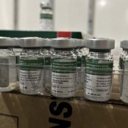 Paraná recebe 332 mil vacinas contra a gripe para início da campanha no próximo sábado