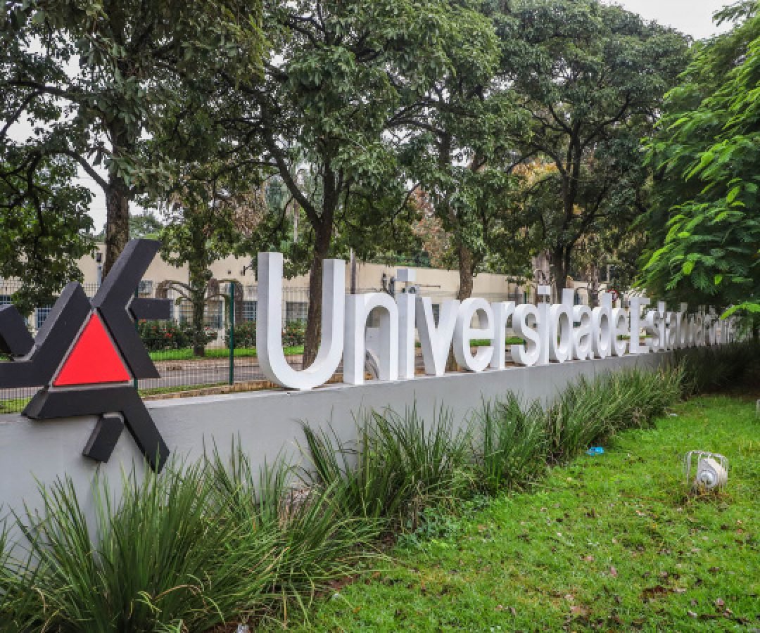 R$ 35 milhões: UEM coordenará projeto aprovado no programa de internacionalização da Capes