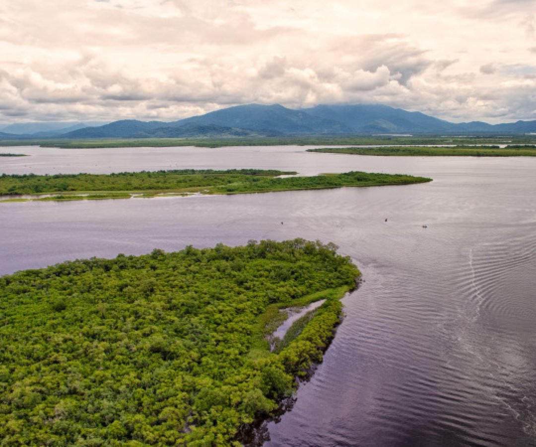 Comitês de Bacias Hidrográficas do Paraná discutem gestão da água na próxima semana