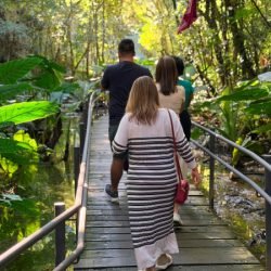Agentes de viagem de todo o Brasil conhecem belezas e destinos turísticos do Paraná
