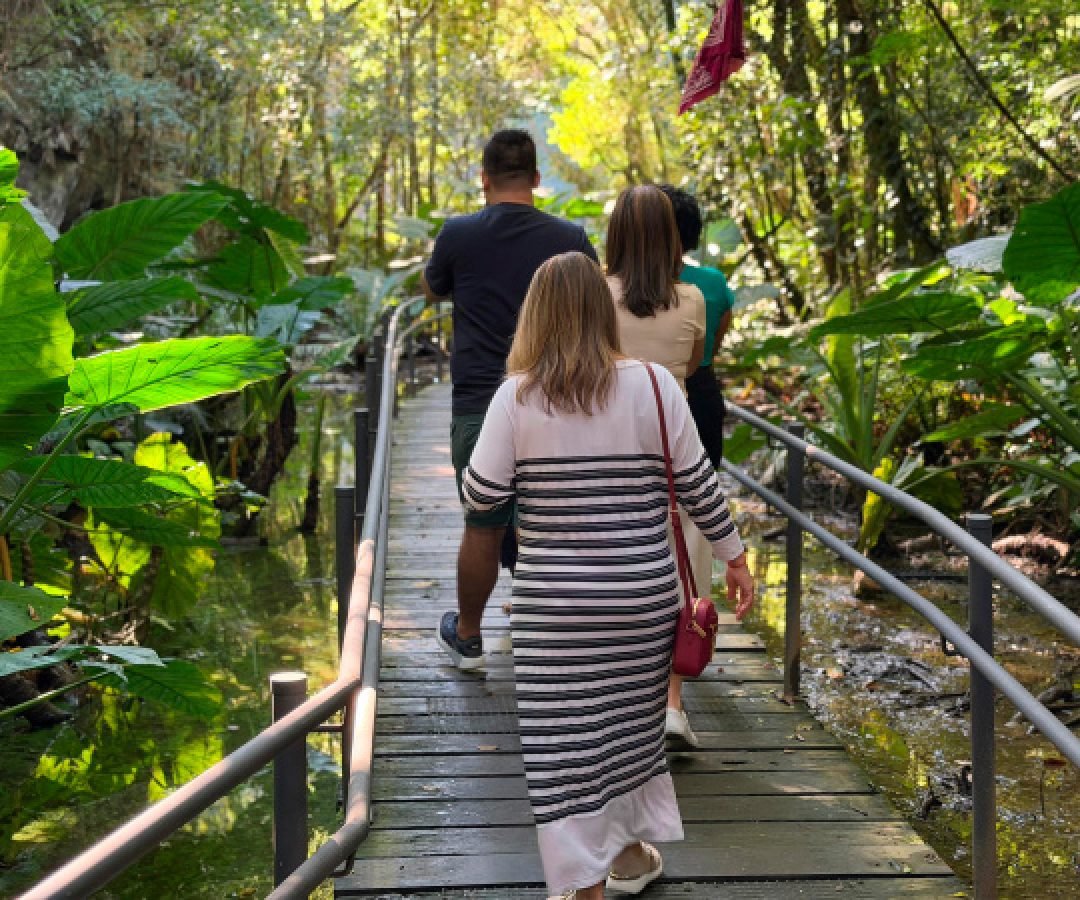 Agentes de viagem de todo o Brasil conhecem belezas e destinos turísticos do Paraná