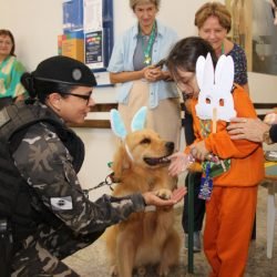 Hospital de Reabilitação inicia projeto de terapia de pacientes com cães da PMPR