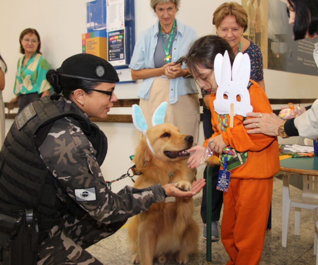 Hospital de Reabilitação inicia projeto de terapia de pacientes com cães da PMPR