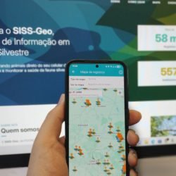 Inteligência georreferenciada mantém Paraná livre de casos locais de febre amarela