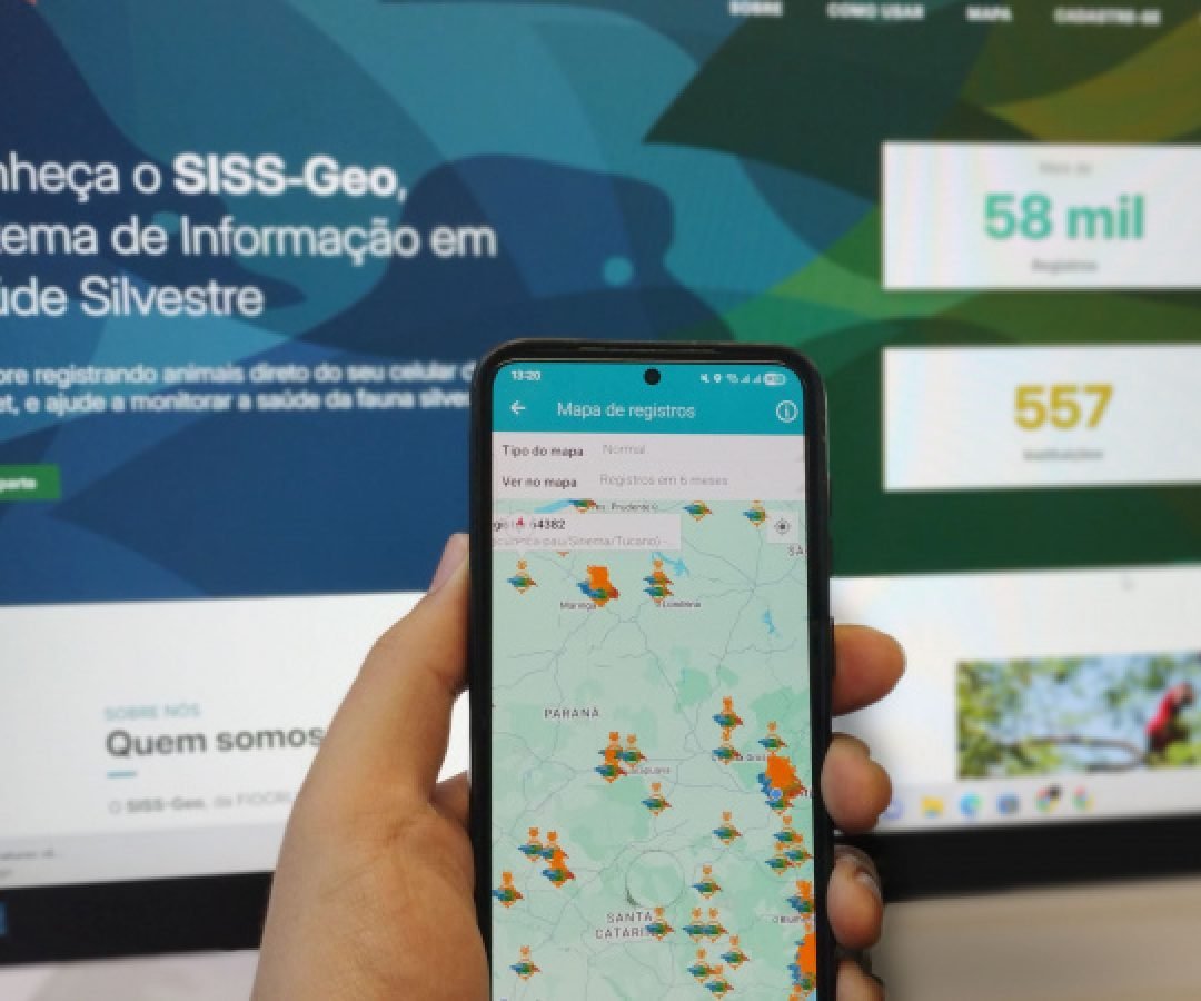 Inteligência georreferenciada mantém Paraná livre de casos locais de febre amarela