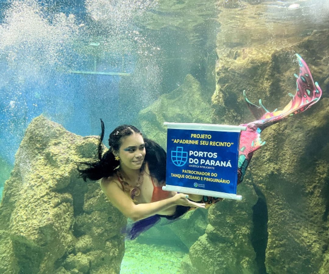 Reforma patrocinada pela Portos do Paraná aprimora ambientes no Aquário de Paranaguá