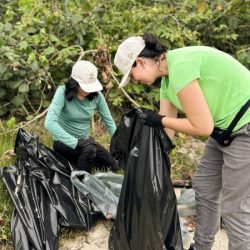 Mutirão da Portos do Paraná recolhe quase 200 kg de resíduos em manguezais
