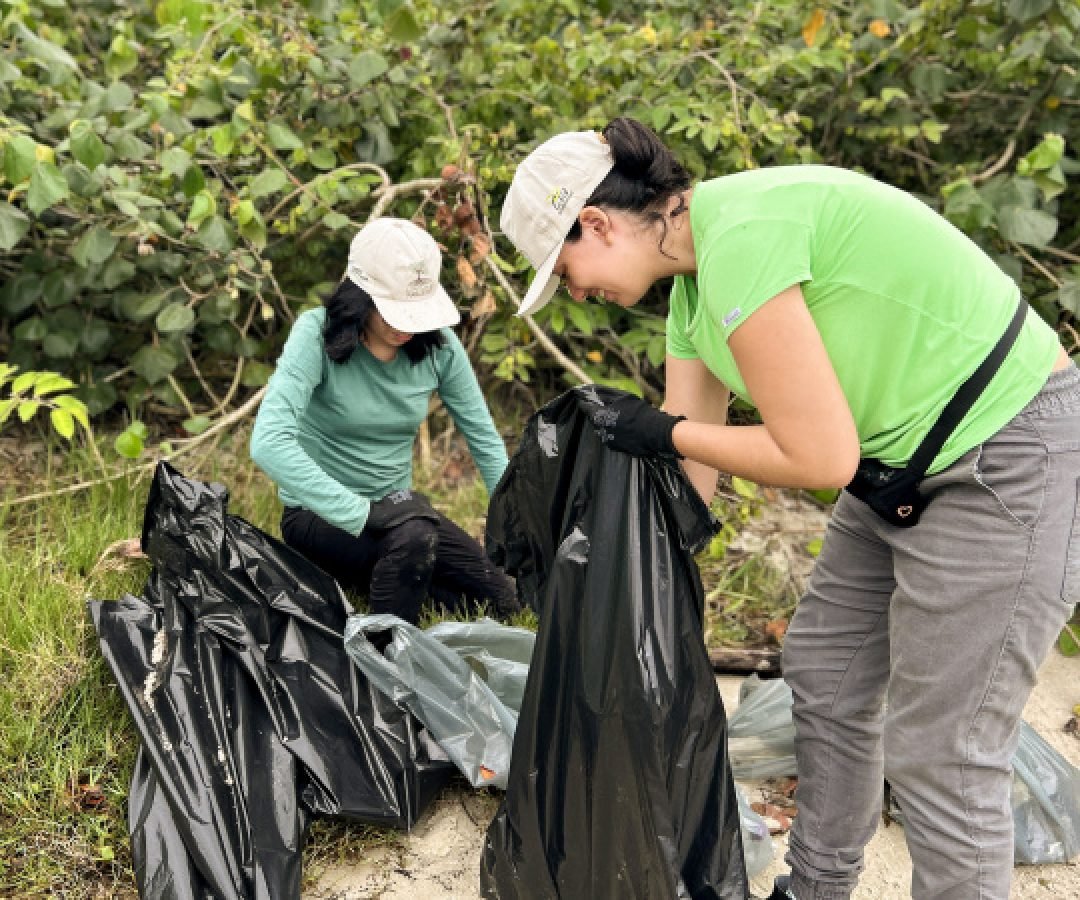 Mutirão da Portos do Paraná recolhe quase 200 kg de resíduos em manguezais