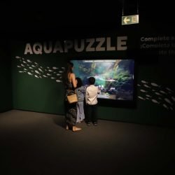 Economia aquecida: turismo e serviços crescem no Paraná em 2025, aponta IBGE