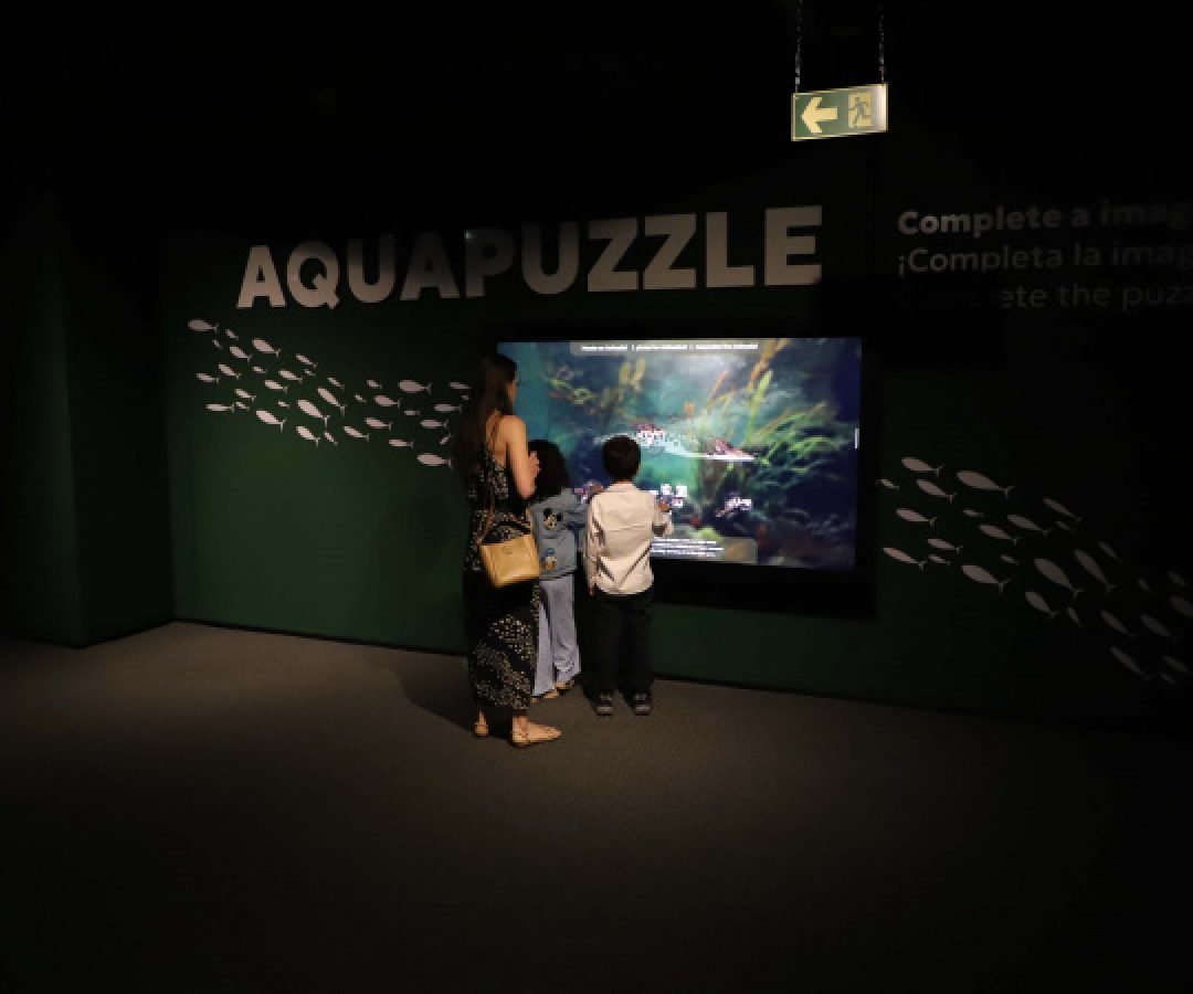 Economia aquecida: turismo e serviços crescem no Paraná em 2025, aponta IBGE